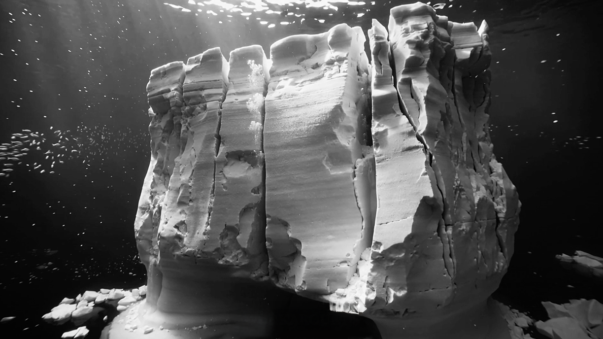 CoComply platform introduction video preview